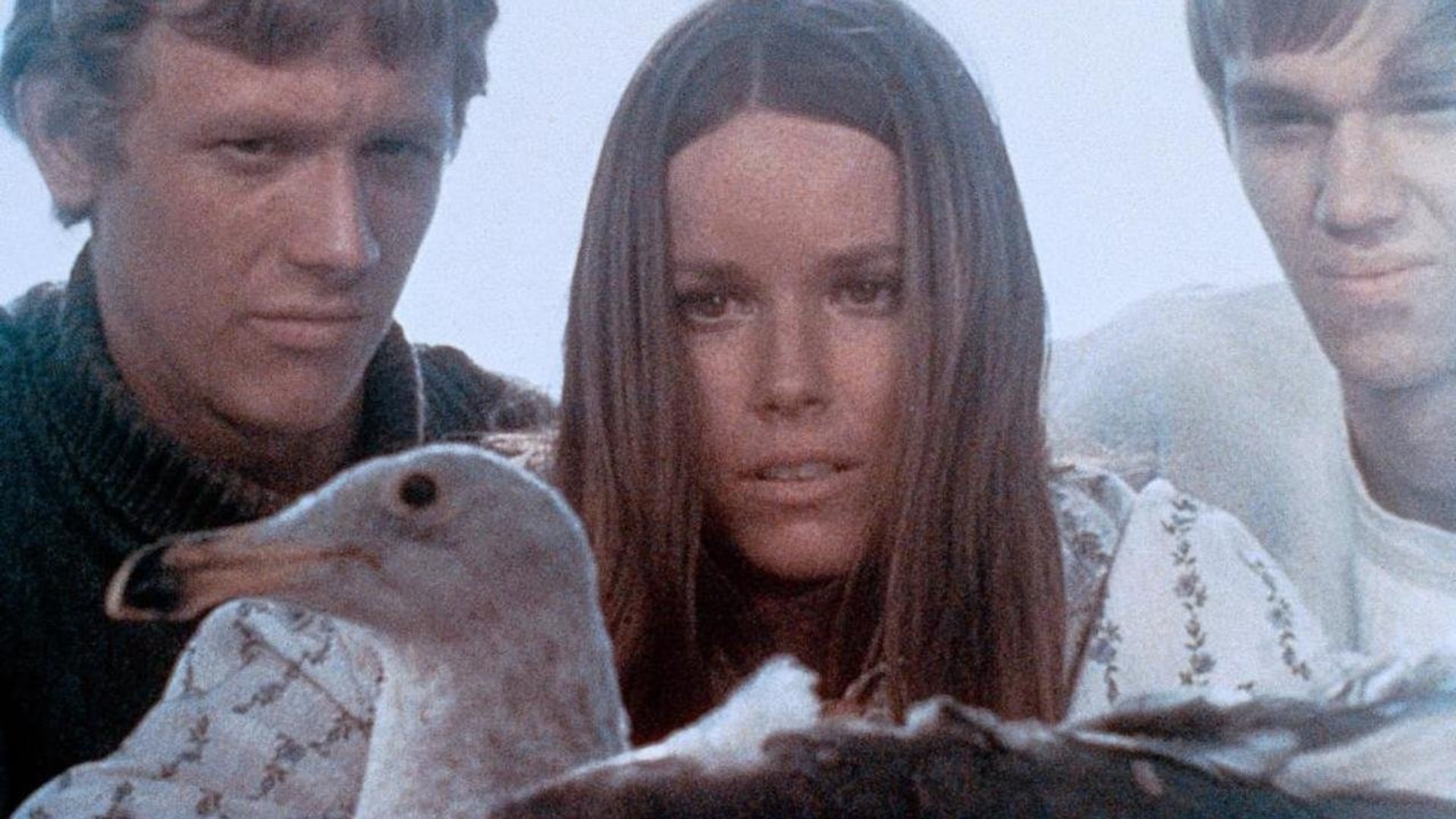 Foto do filme Last Summer