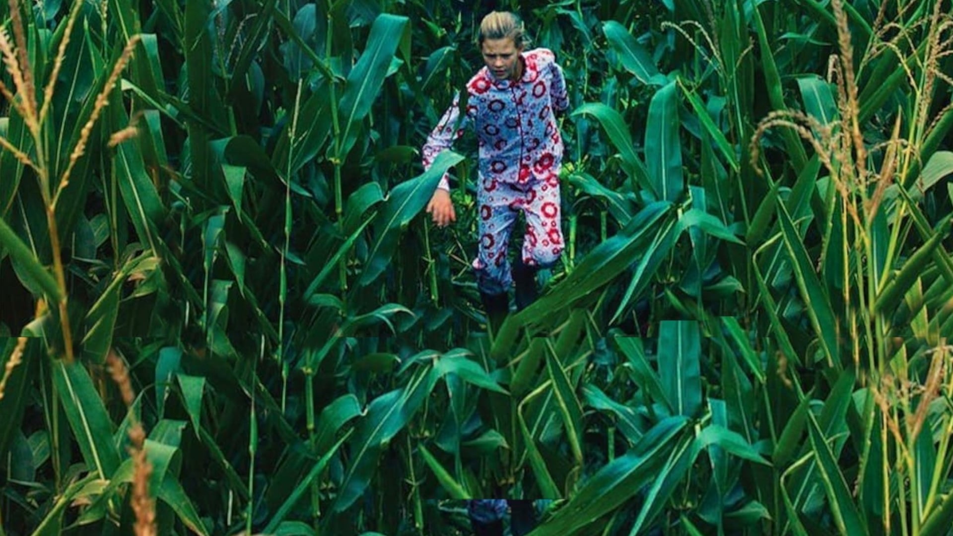 Foto do filme Fábula Americana