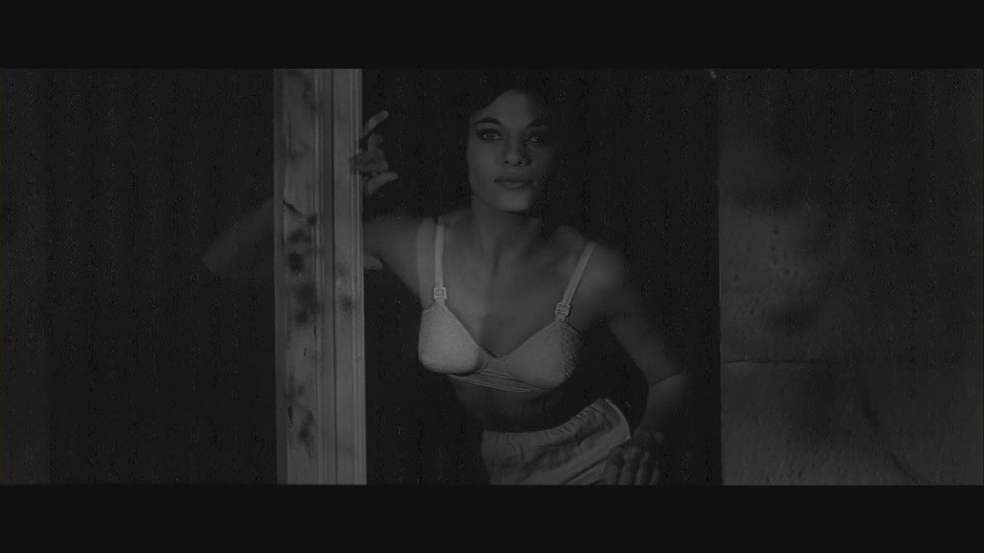 Foto do filme A Maldição da Mosca