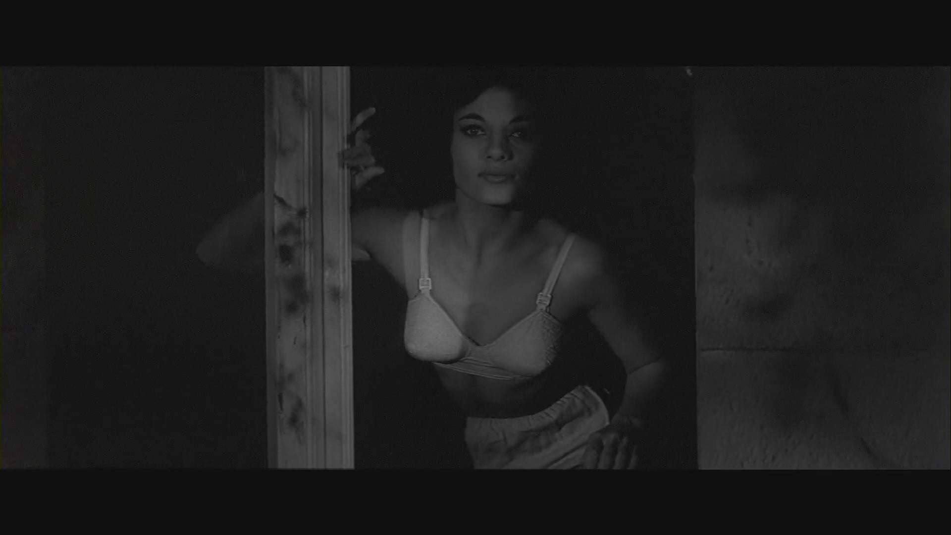 Foto do filme A Maldição da Mosca