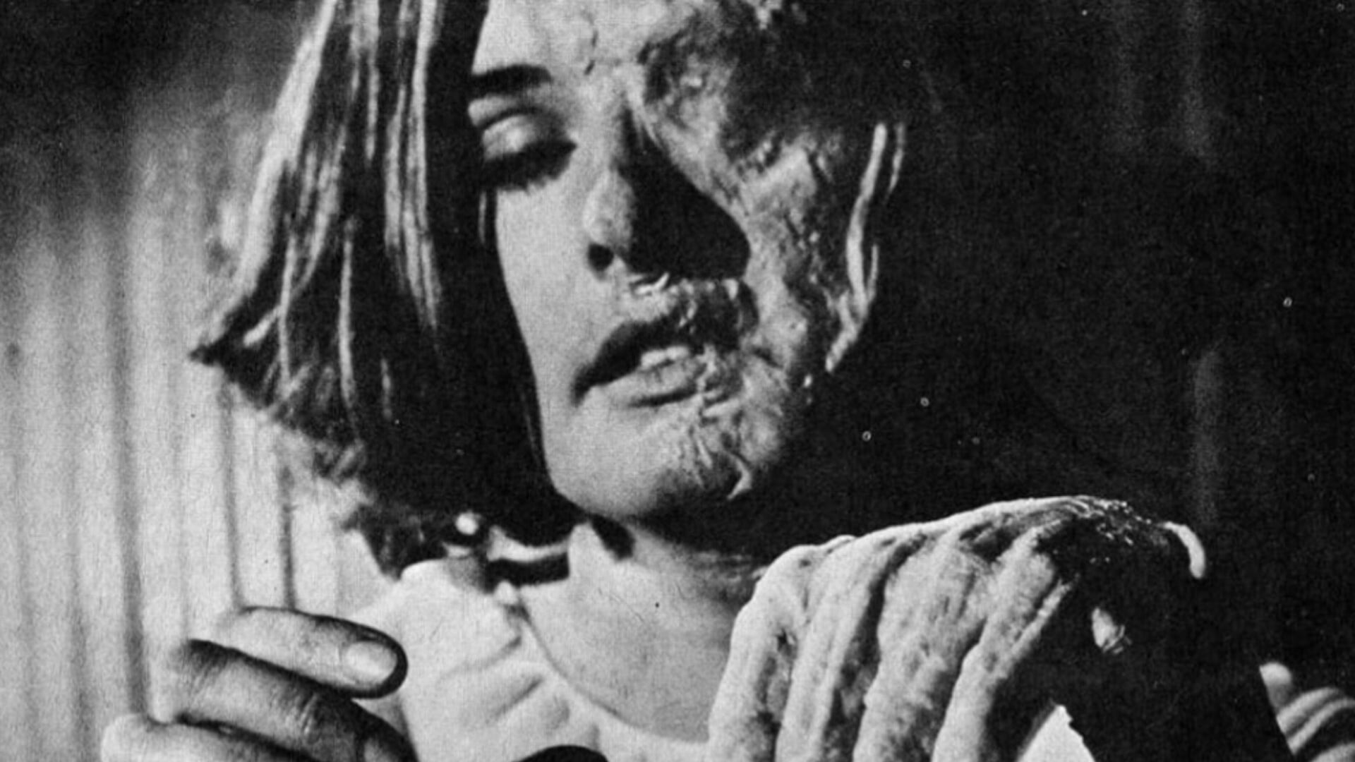 Foto do filme A Maldição da Mosca