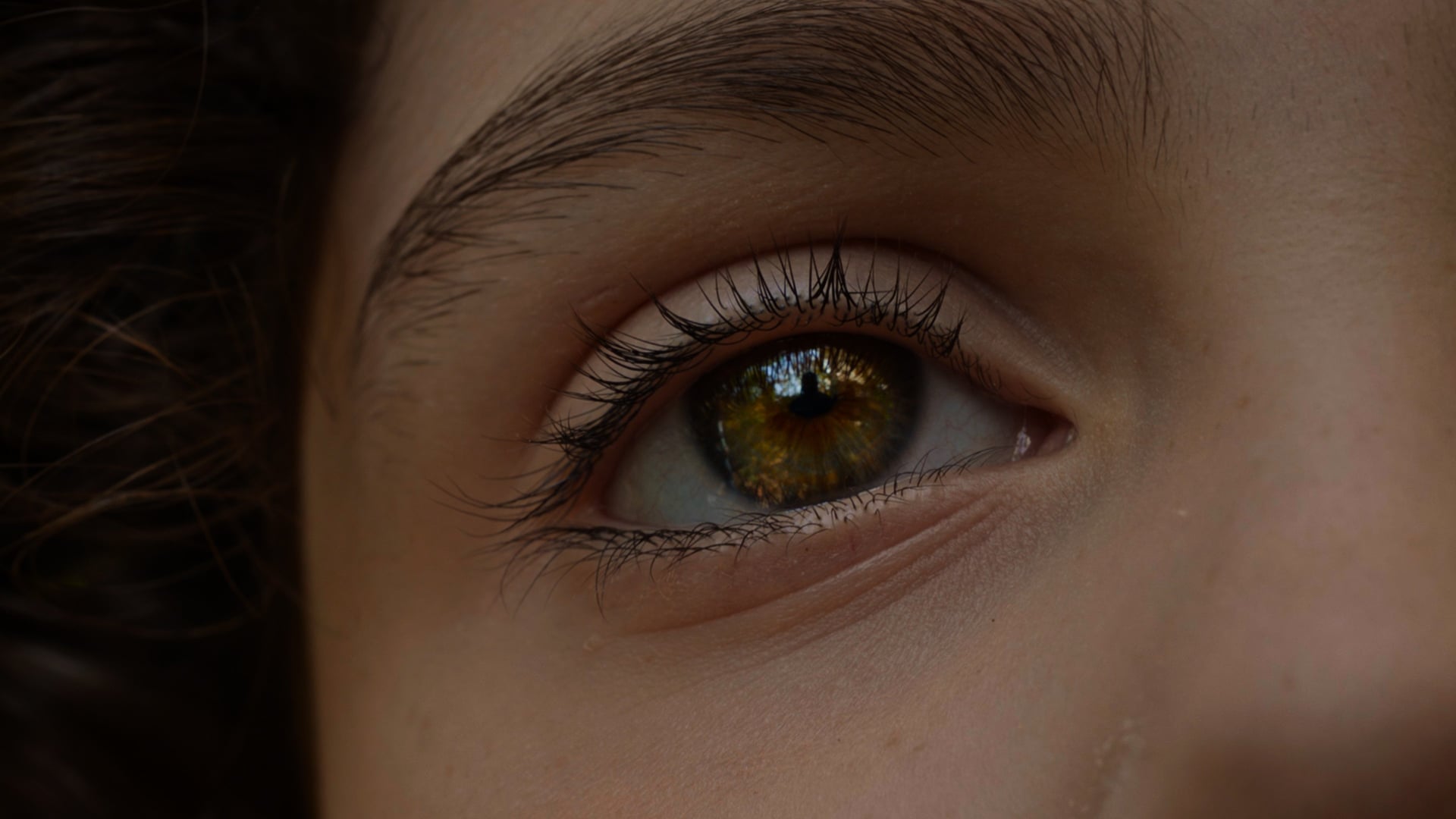 Foto do filme Fragmentado