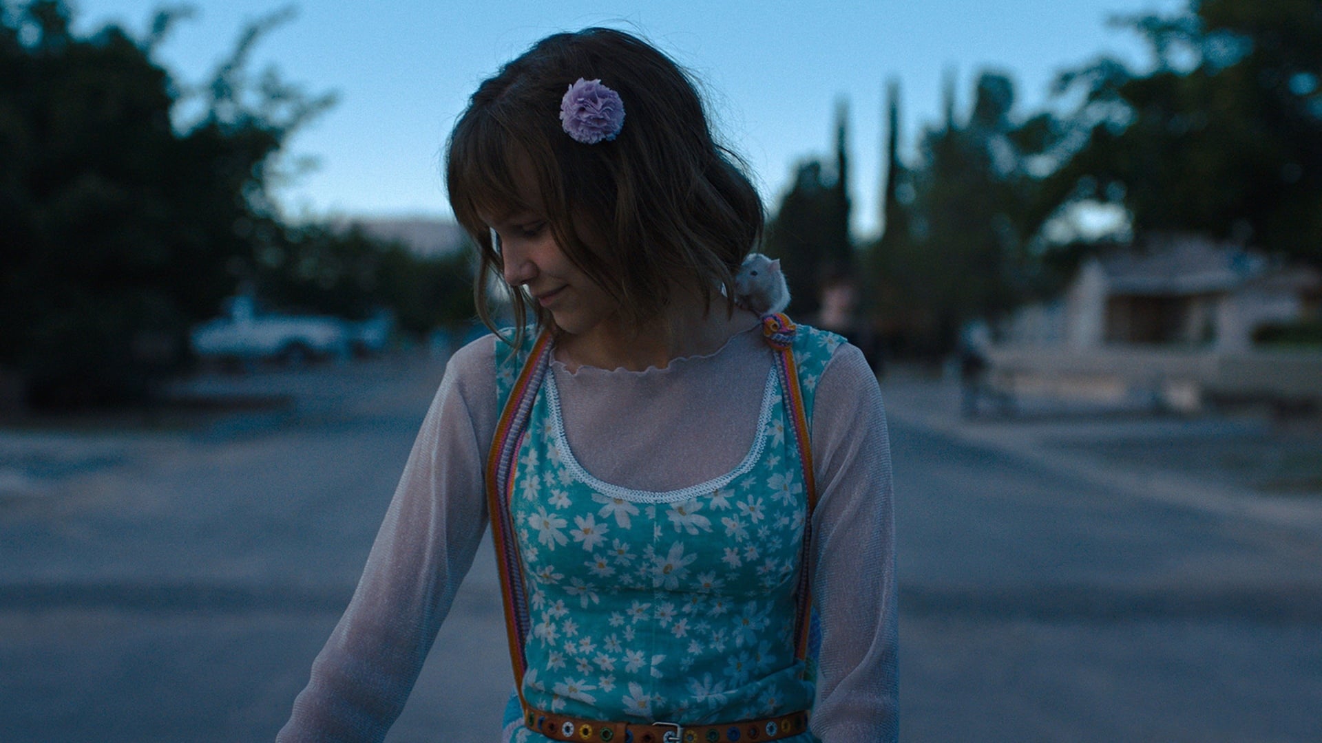 Foto do filme A Extraordinária Garota Chamada Estrela