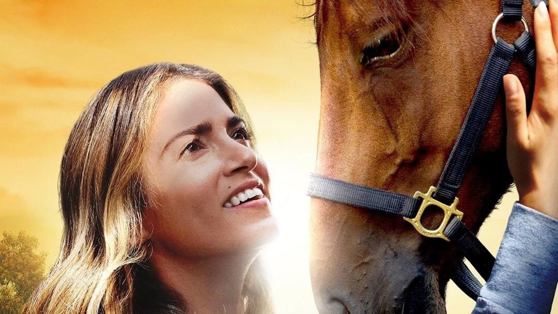 Foto do filme Inseparáveis