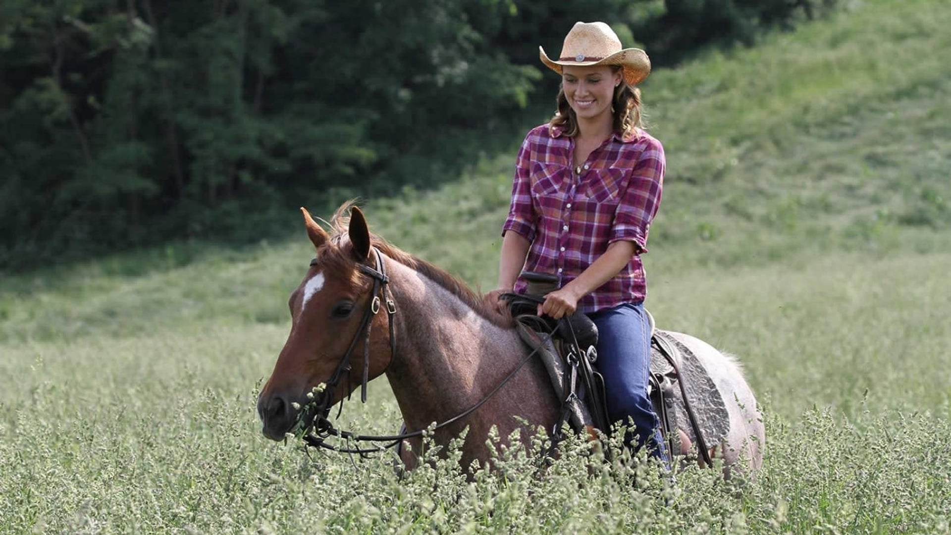 Foto do filme Encontrando o Amor em Nebraska
