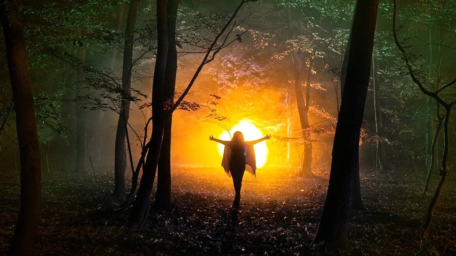 Foto do filme They're Watching