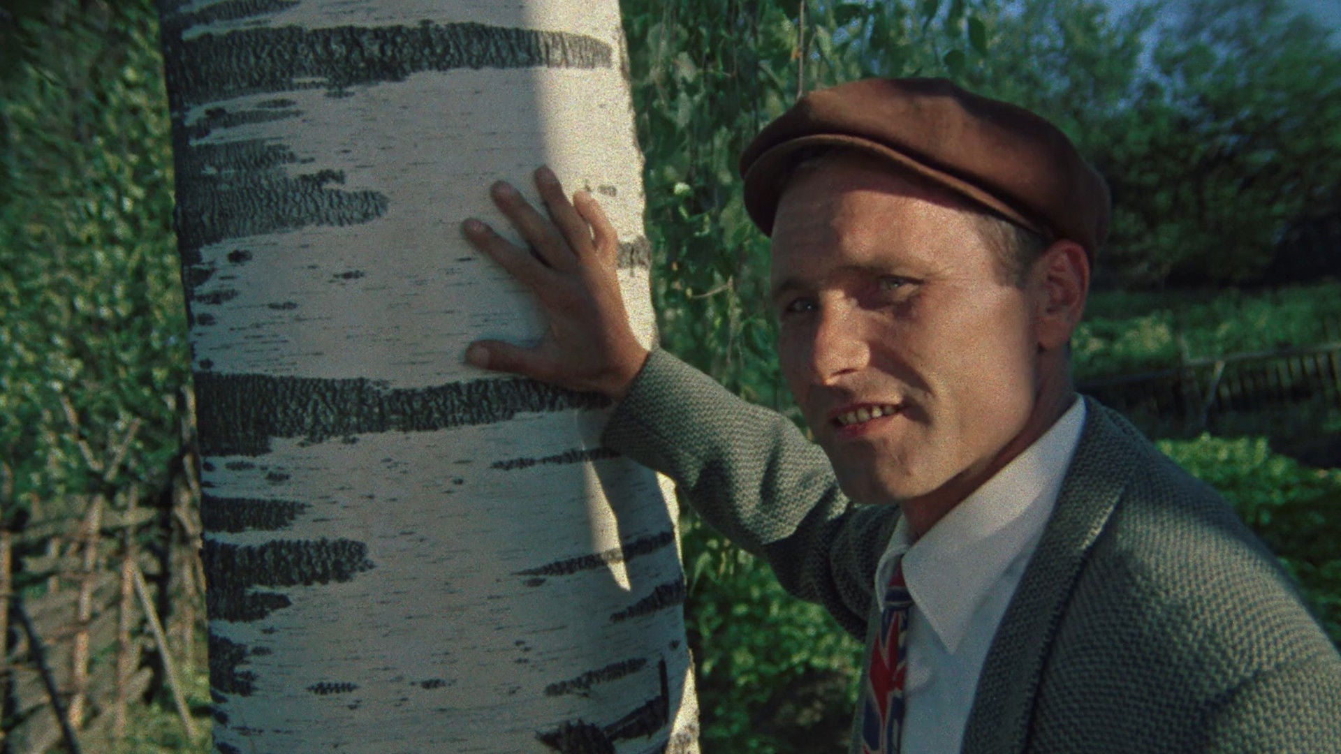 Foto do filme The Red Snowball Tree