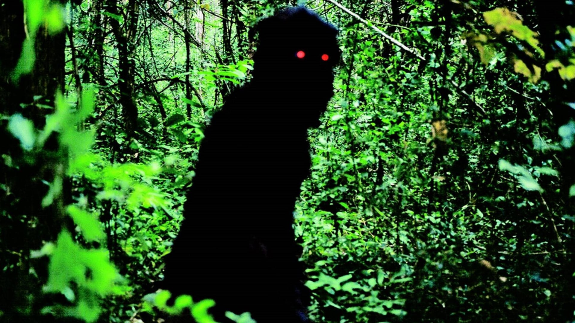 Foto do filme Tio Boonmee, que Pode Recordar Suas Vidas Passadas