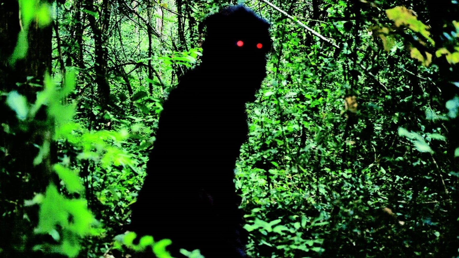 Foto do filme Tio Boonmee, que Pode Recordar Suas Vidas Passadas