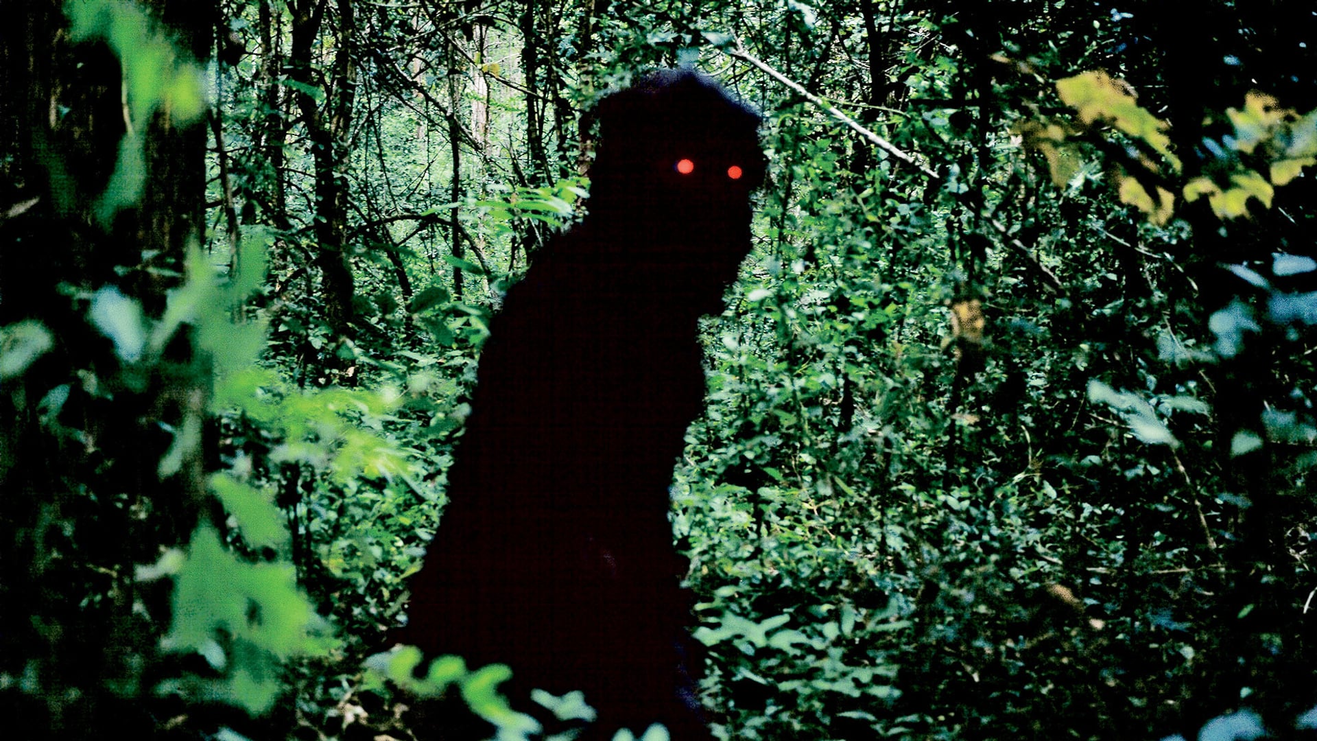 Foto do filme Tio Boonmee, que Pode Recordar Suas Vidas Passadas