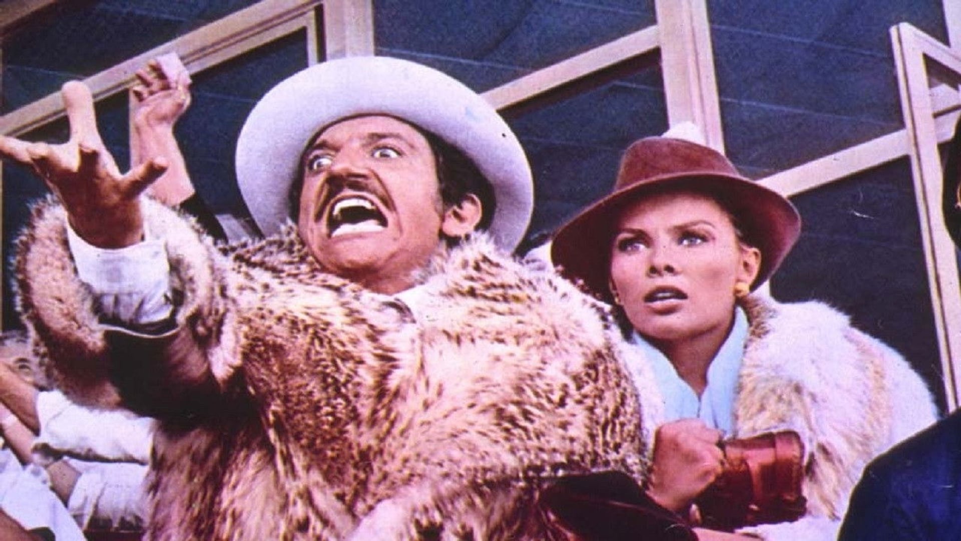 Foto do filme Febbre da cavallo