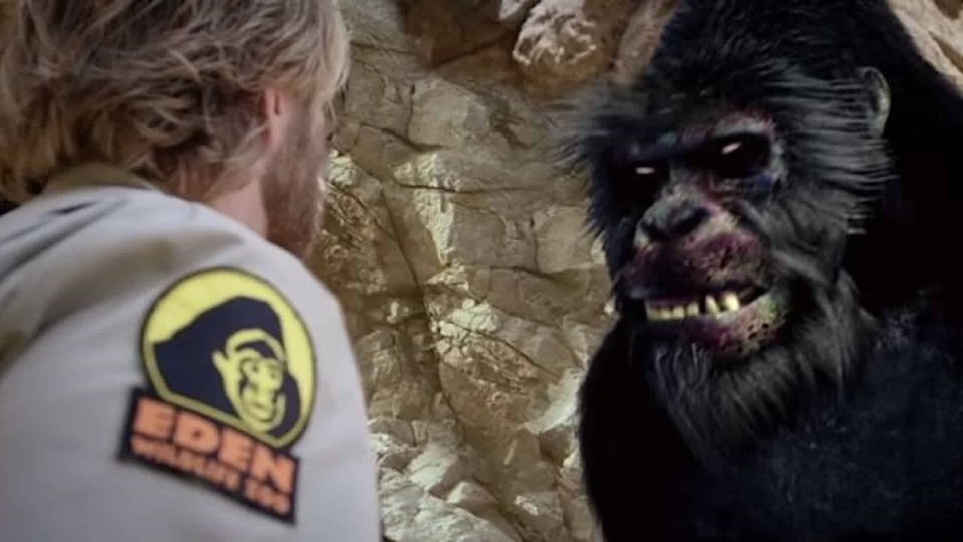 Foto do filme Zoombies