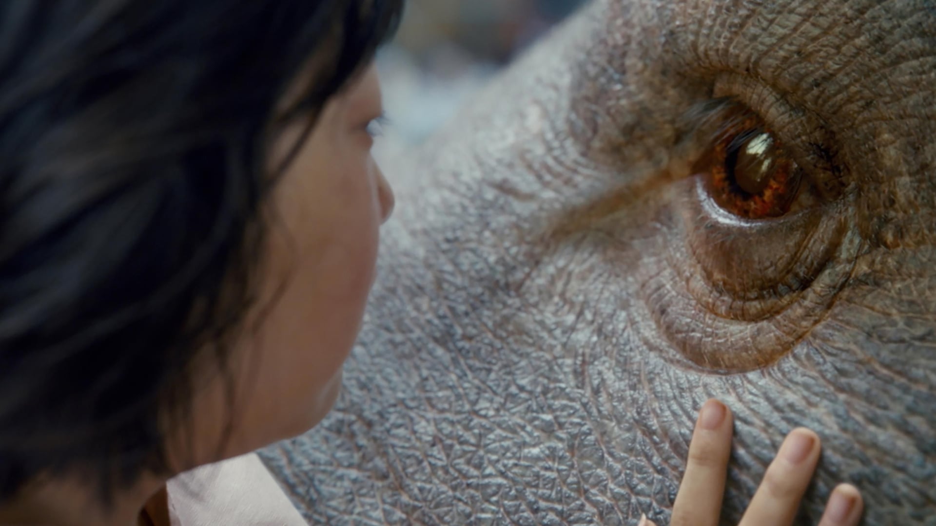 Foto do filme Okja