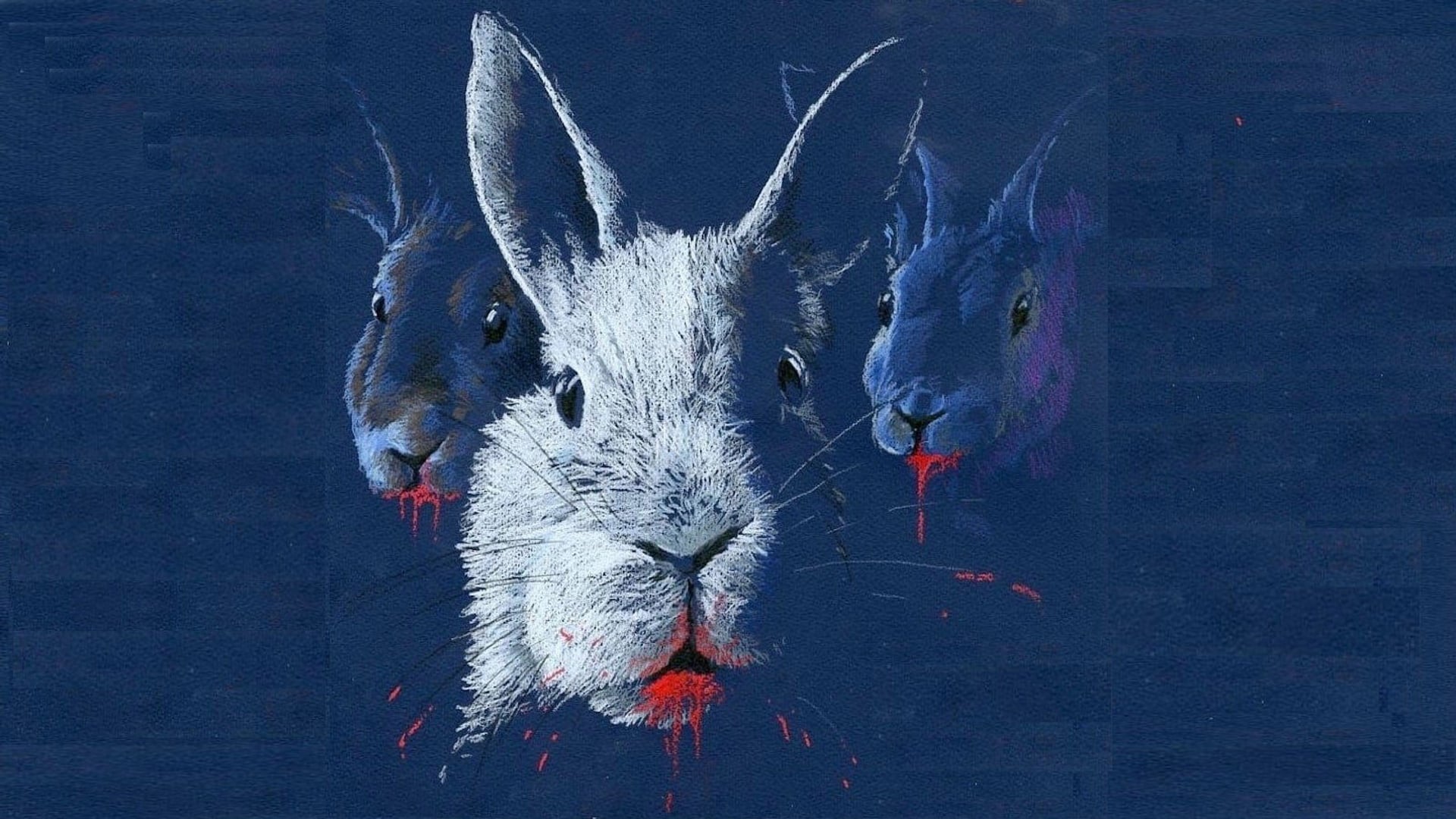 Foto do filme A Noite dos Coelhos