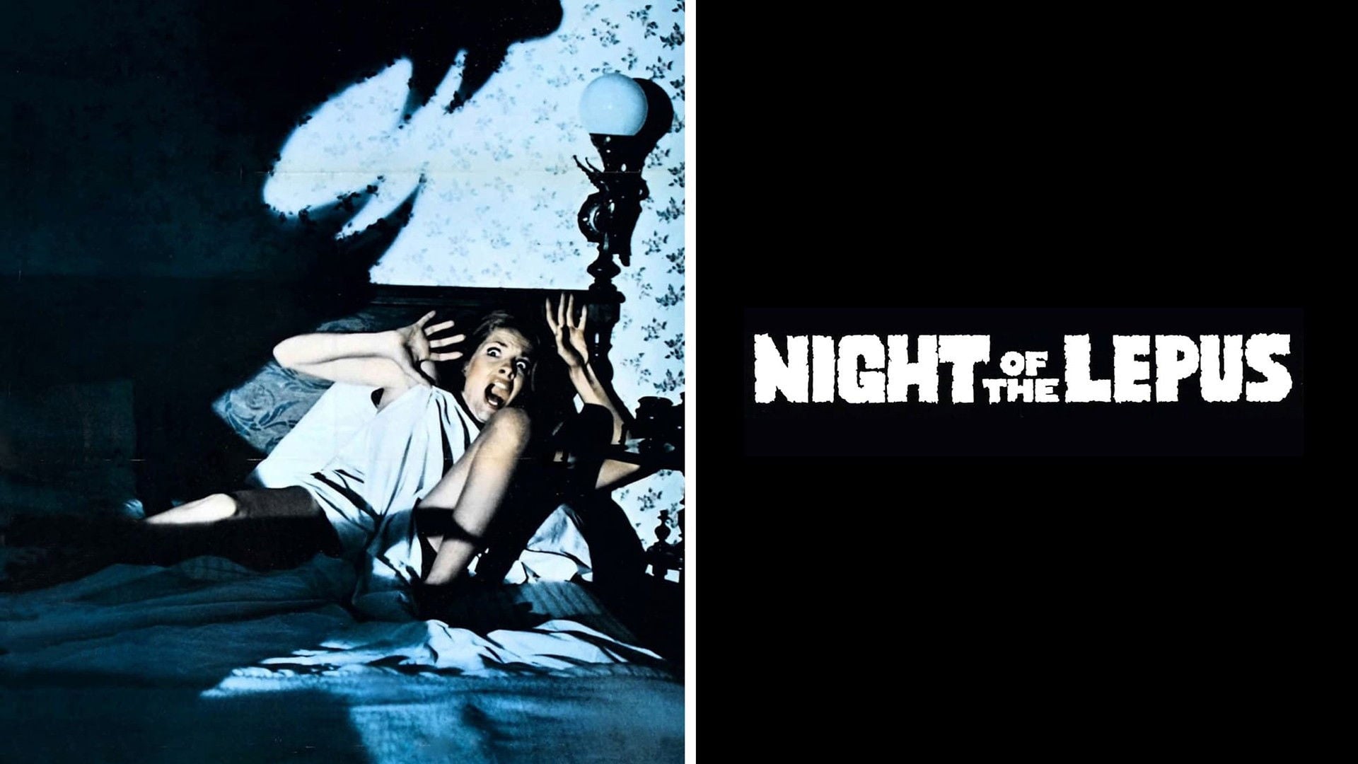 Foto do filme A Noite dos Coelhos