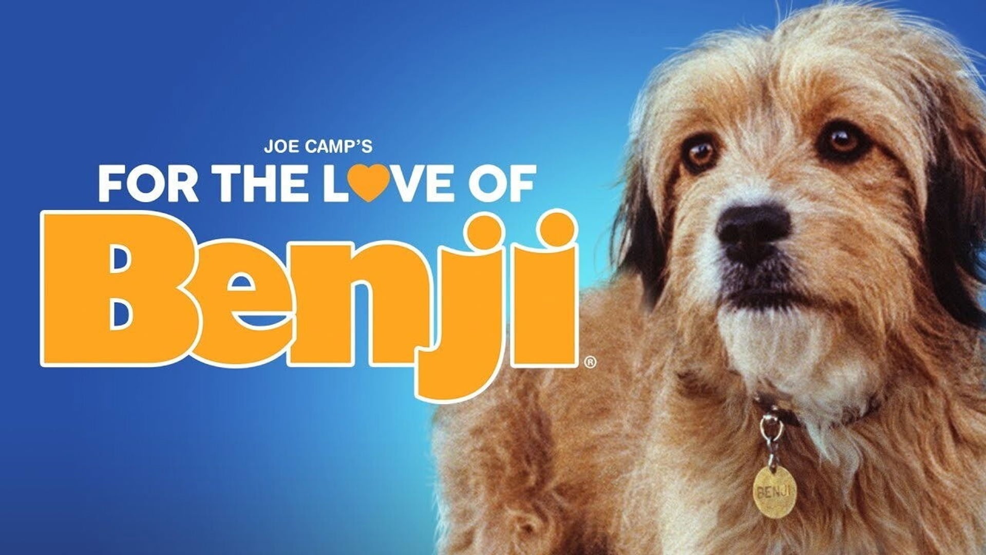 Foto do filme For the Love of Benji