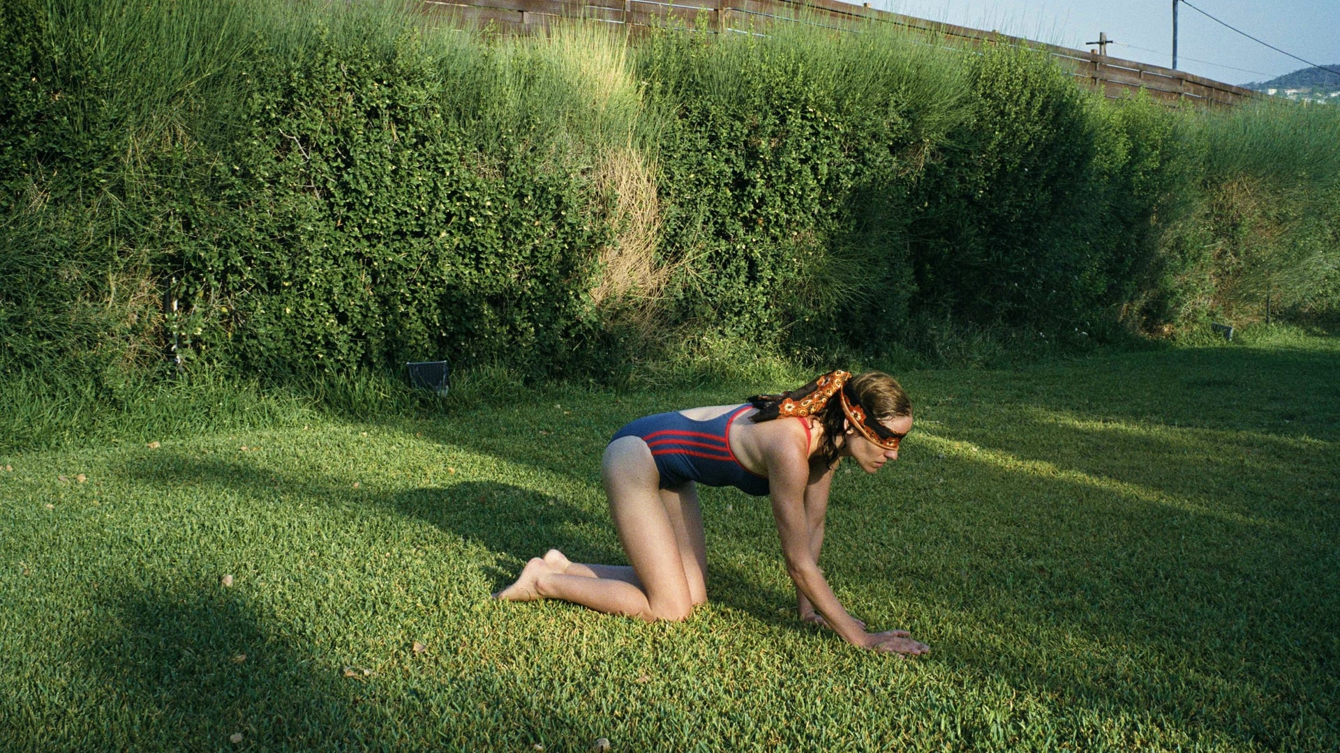 Foto do filme Dente Canino