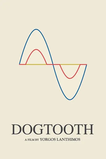 Dente Canino