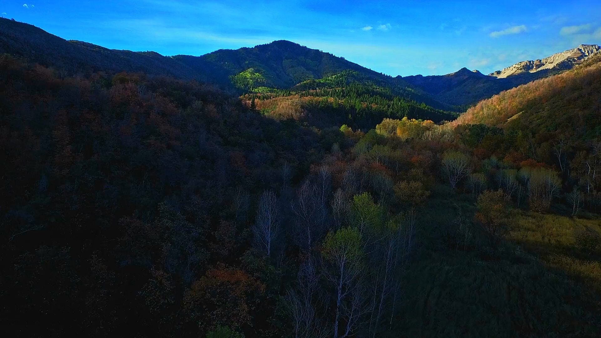 Foto do filme Mythica: a Coroa de Ferro