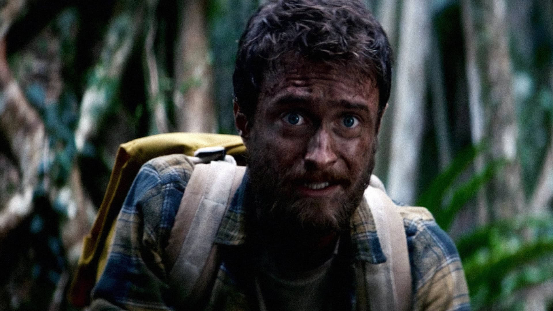 Foto do filme Na Selva