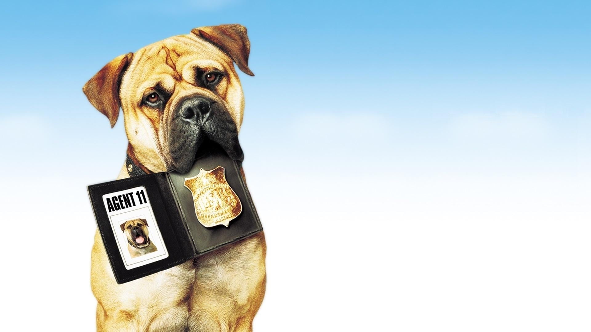 Foto do filme Spot - Um Cão da Pesada