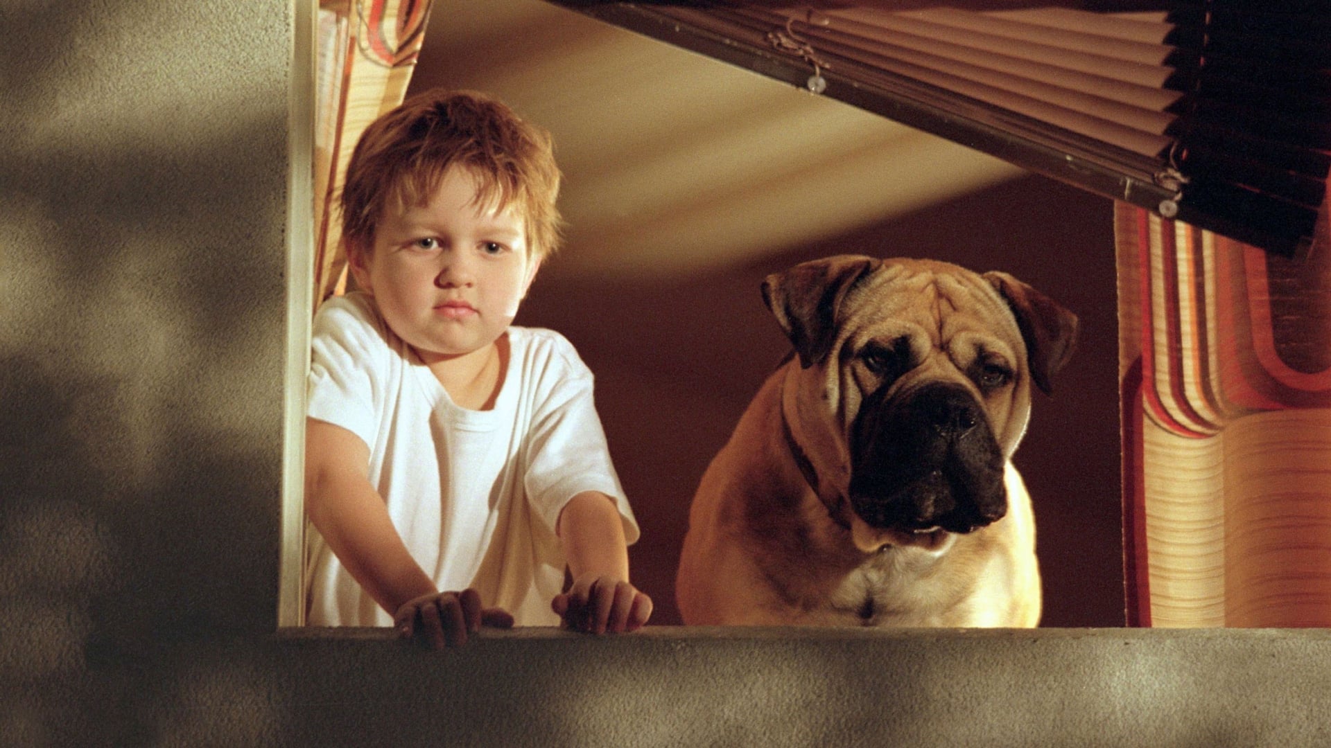 Foto do filme Spot - Um Cão da Pesada