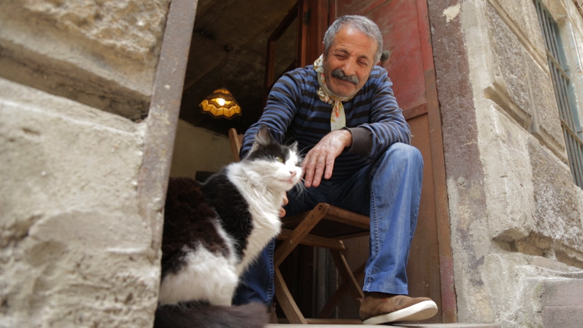 Foto do filme Nove vidas: Gatos em Istambul