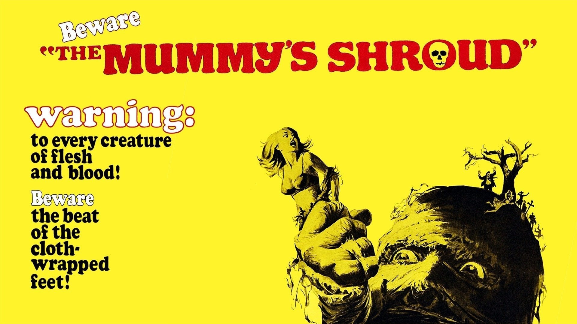 Foto do filme The Mummy's Shroud