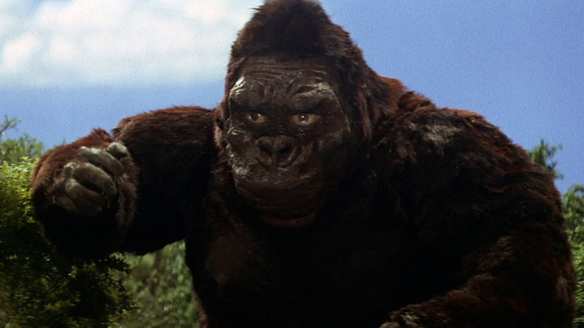 Foto do filme A Fuga de King Kong