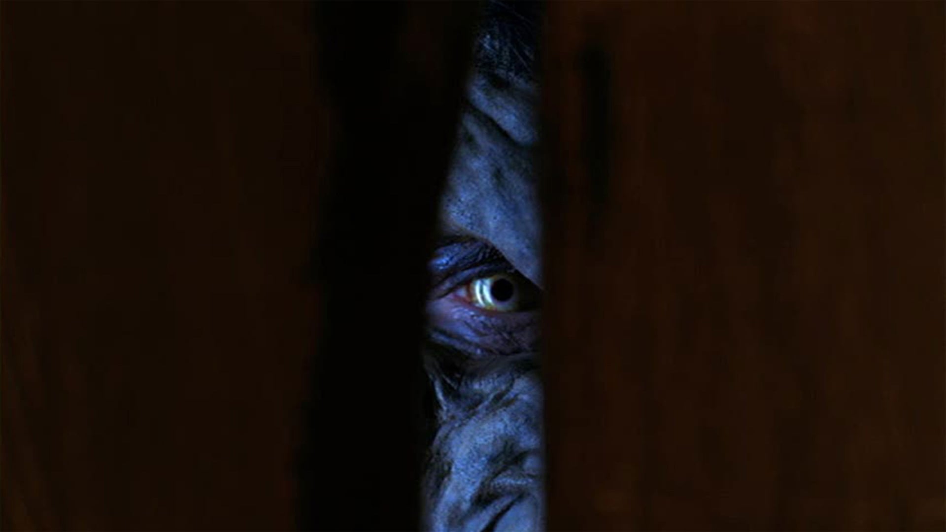 Foto do filme A Fera Assassina