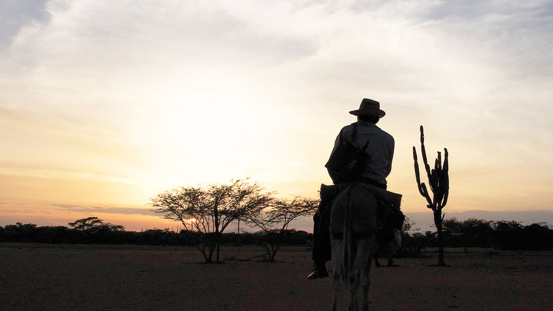 Foto do filme As Viagens do Vento