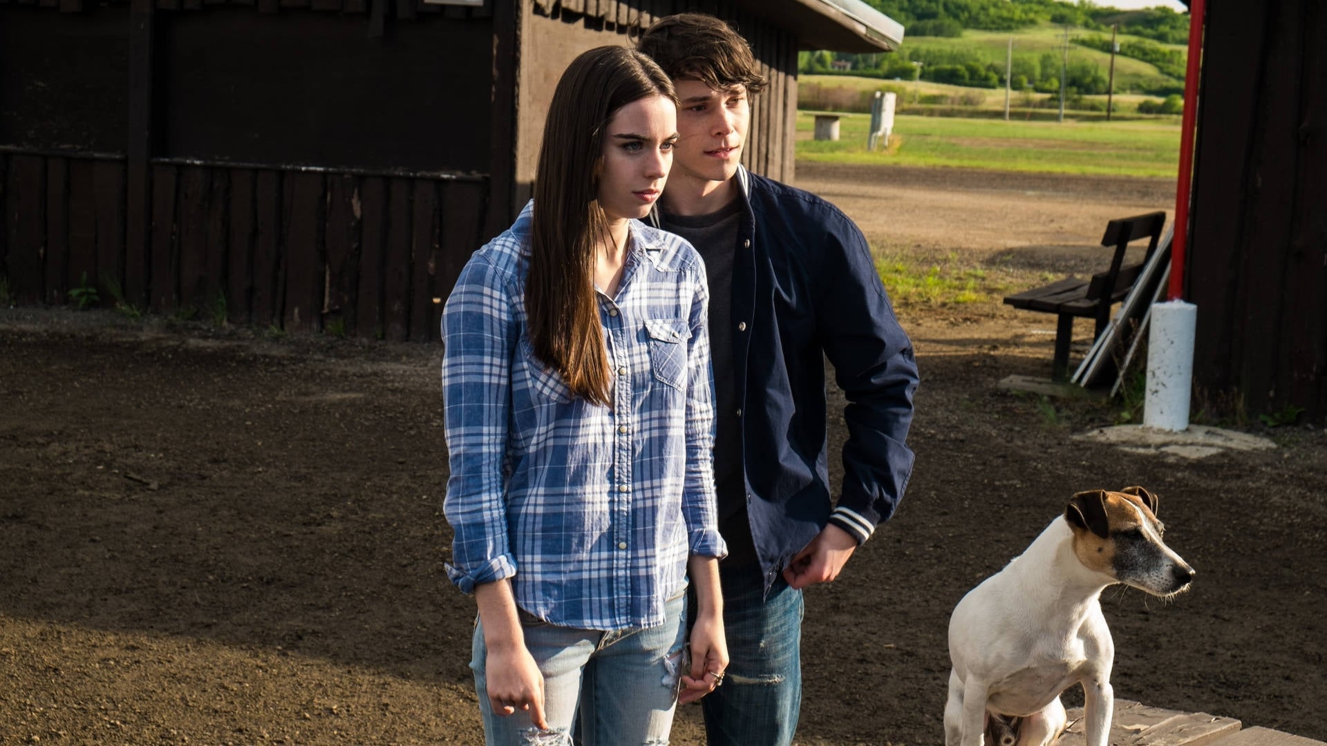 Foto do filme A.R.C.H.I.E.: O Cão Robô