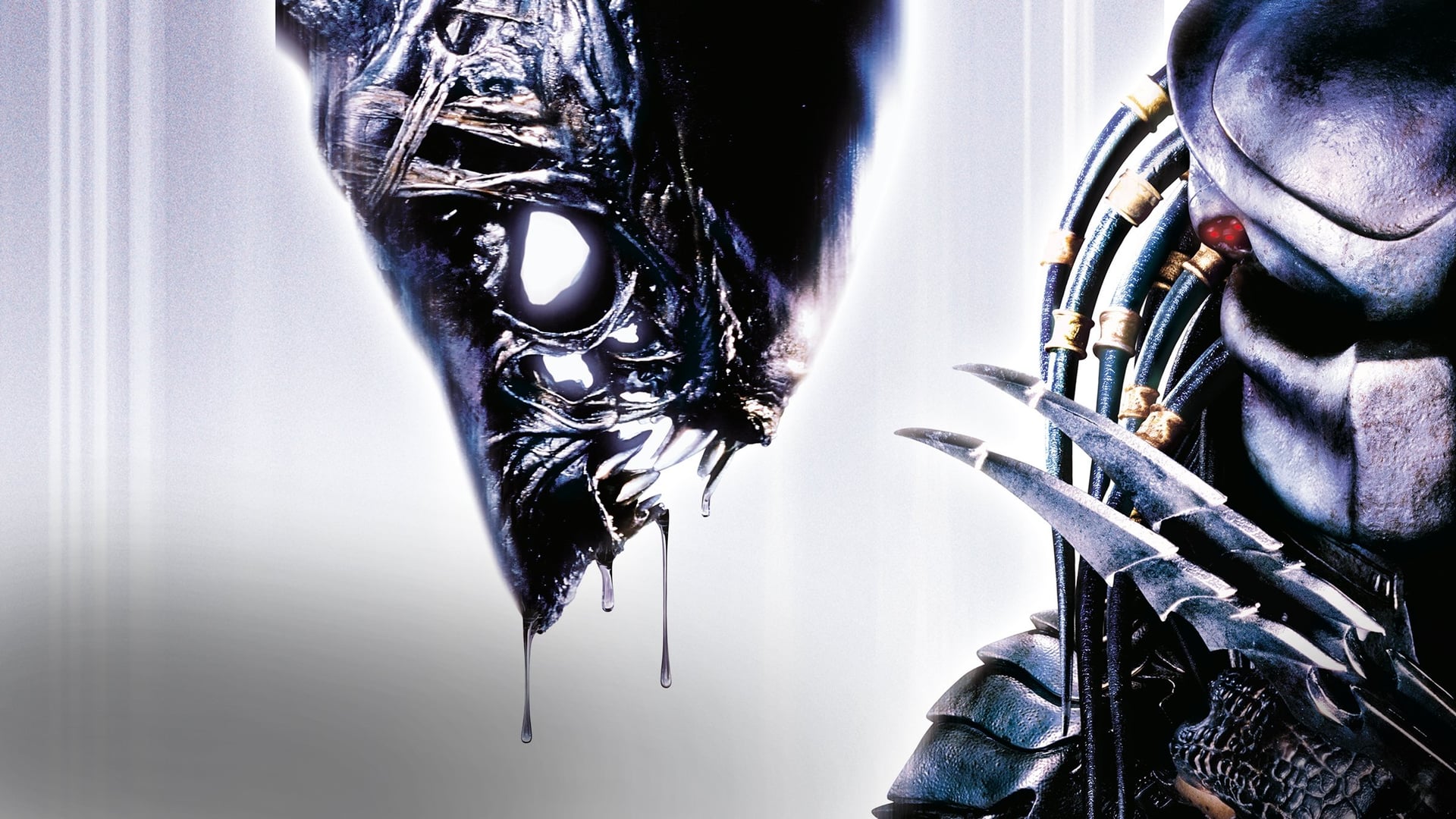 Foto do filme Alien vs. Predador