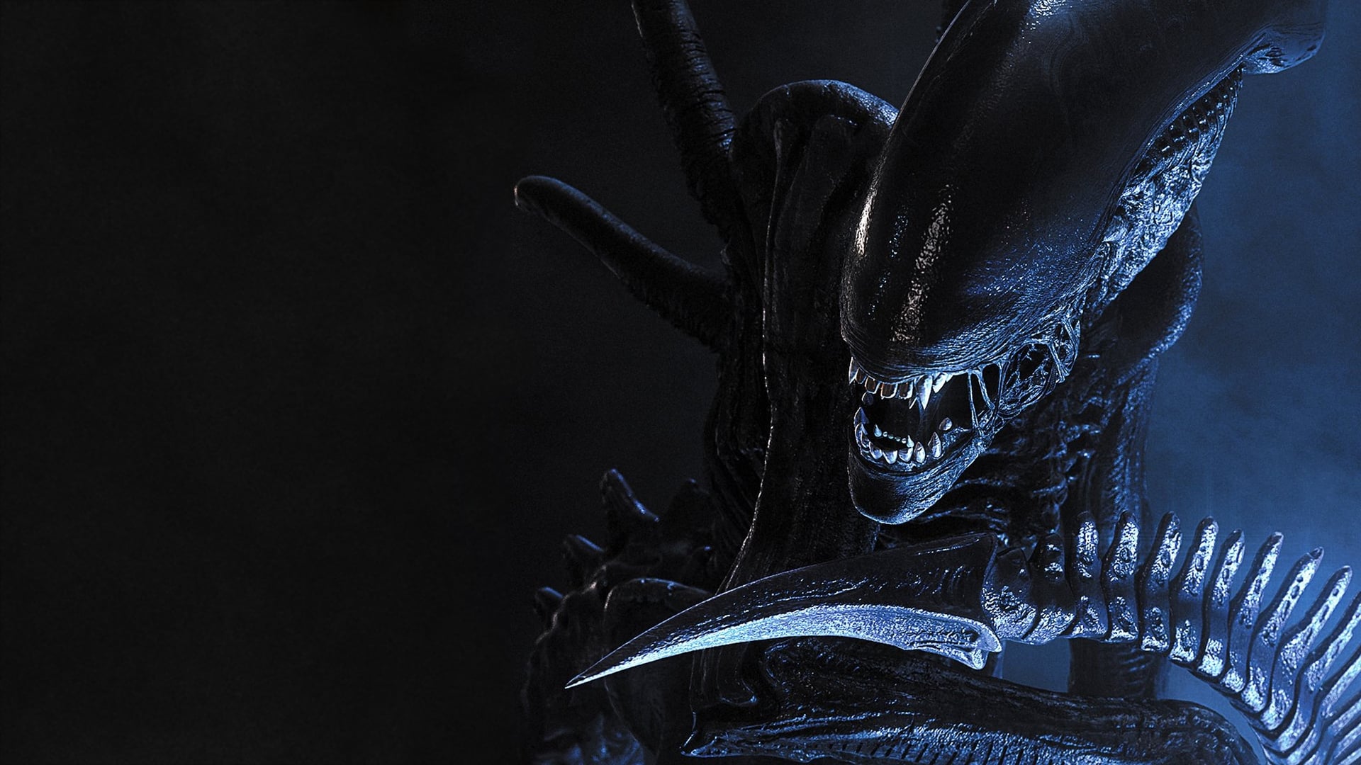 Foto do filme Alien vs. Predador
