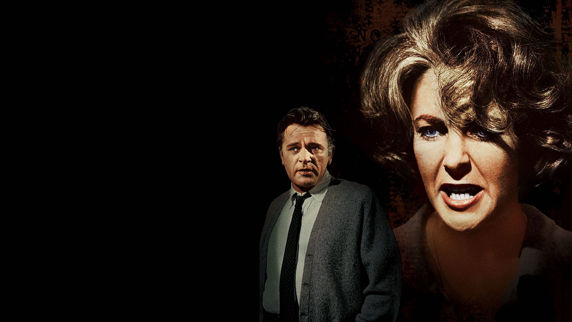 Foto do filme Quem Tem Medo de Virginia Woolf?