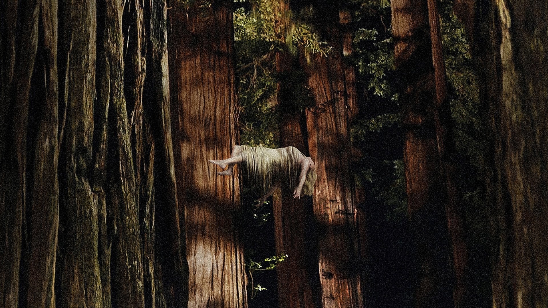 Foto do filme Woodshock