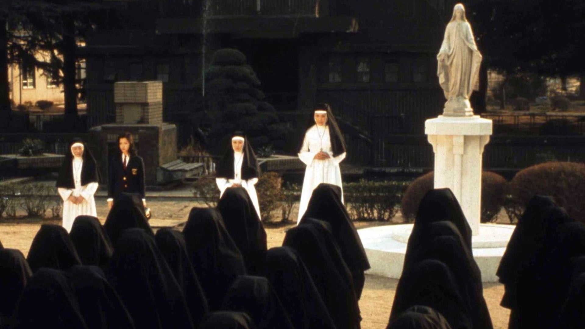 Foto do filme The Transgressor