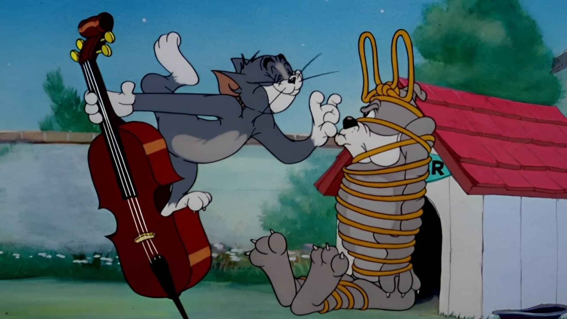 Foto do filme Solid Serenade