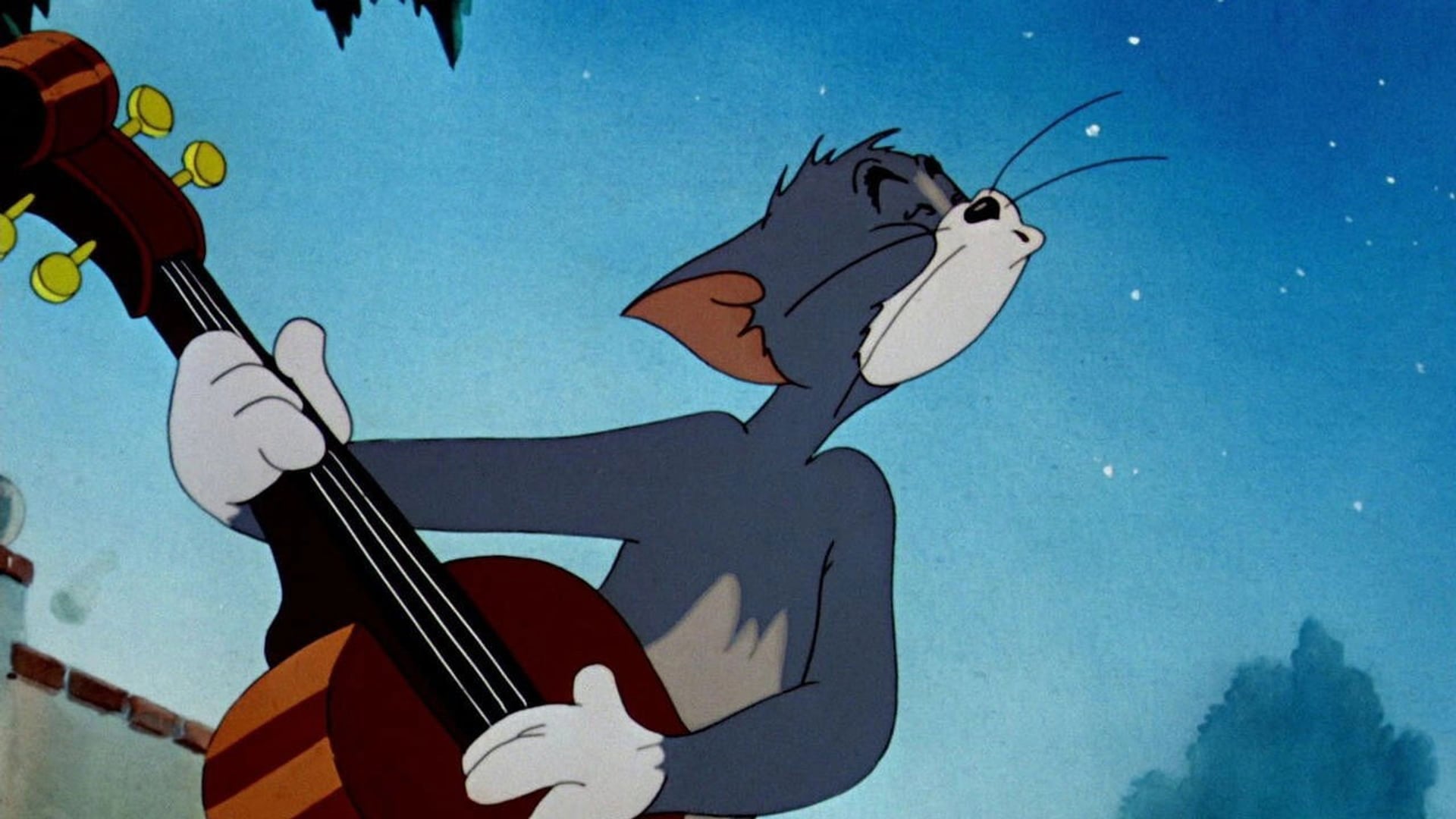 Foto do filme Solid Serenade