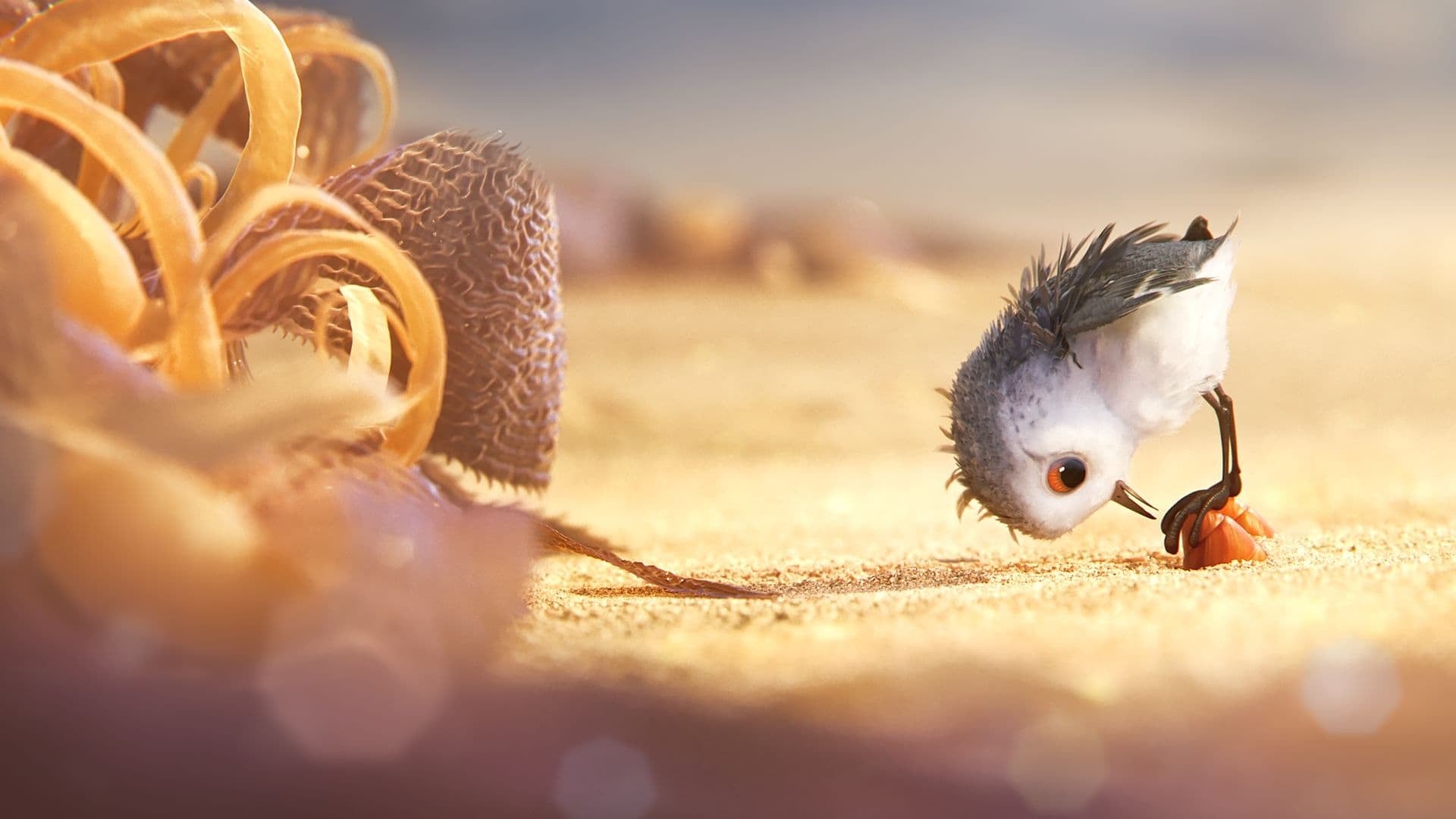 Foto do filme Piper: Descobrindo o Mundo