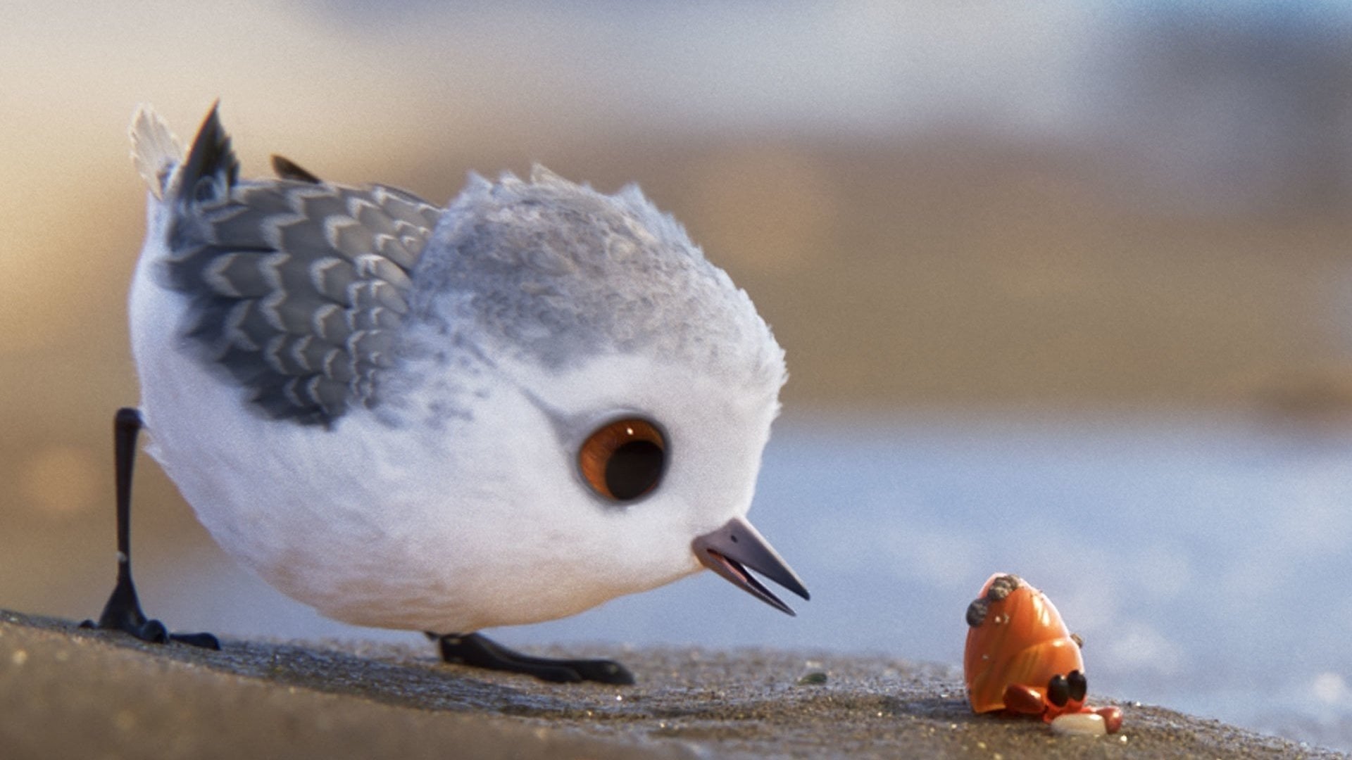 Foto do filme Piper: Descobrindo o Mundo
