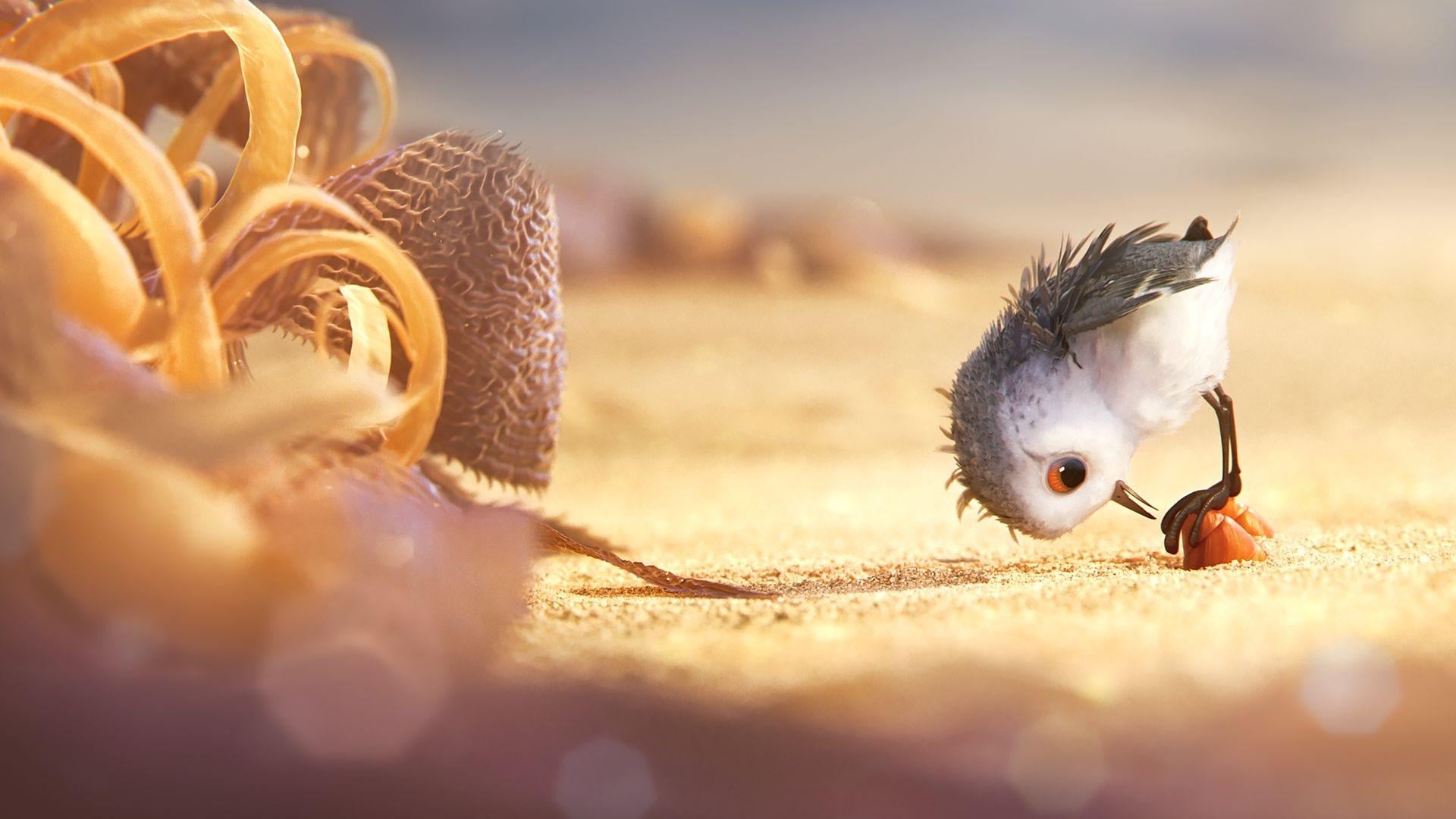 Foto do filme Piper: Descobrindo o Mundo