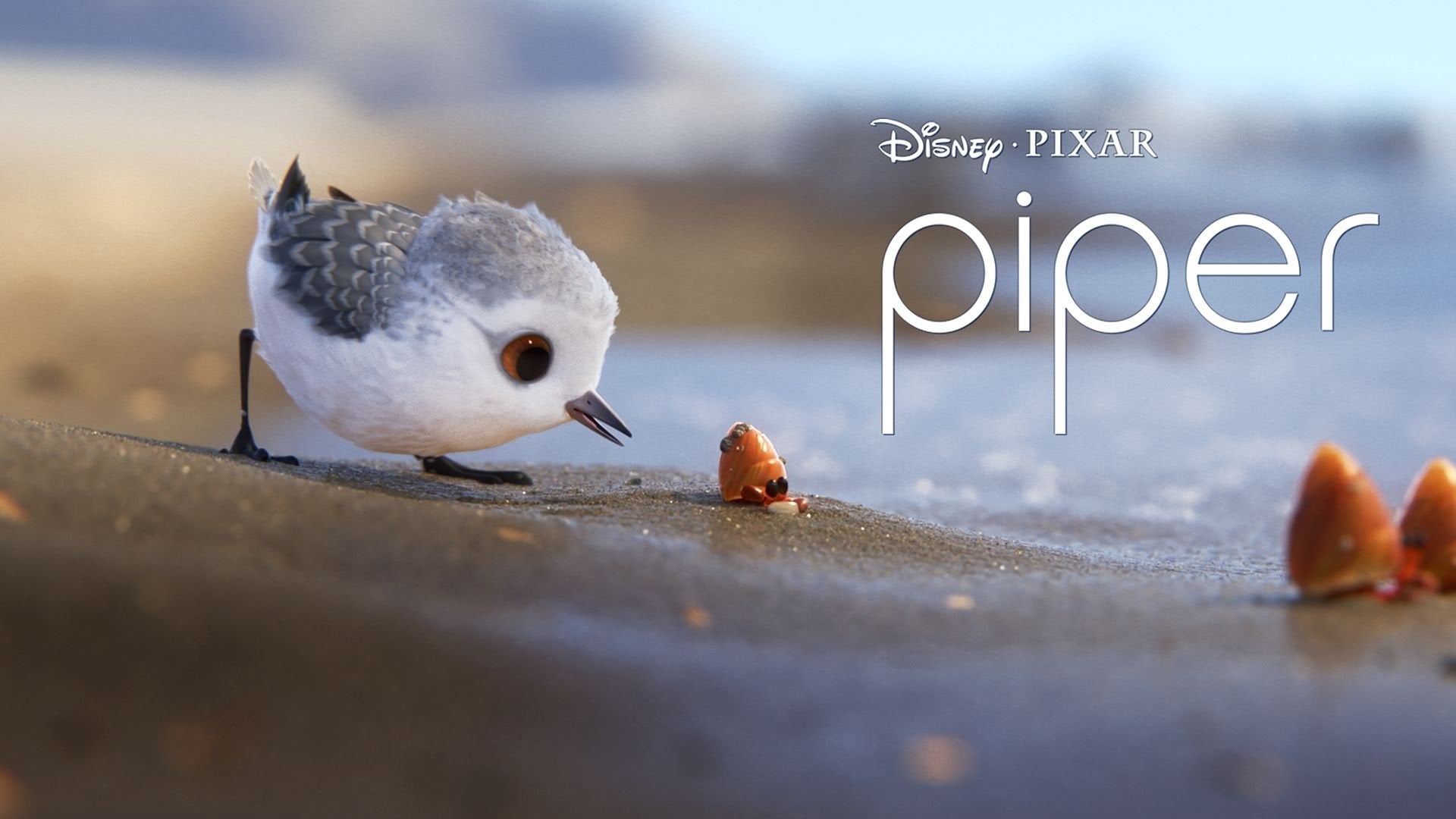 Foto do filme Piper: Descobrindo o Mundo