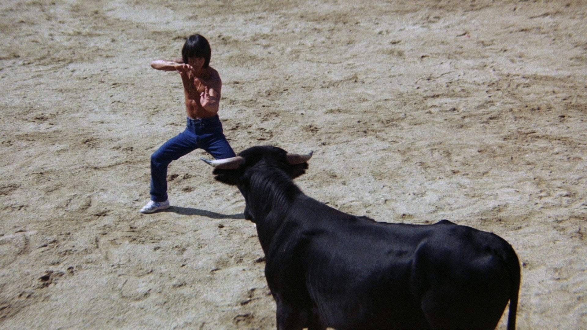 Foto do filme O Desafio do Tigre