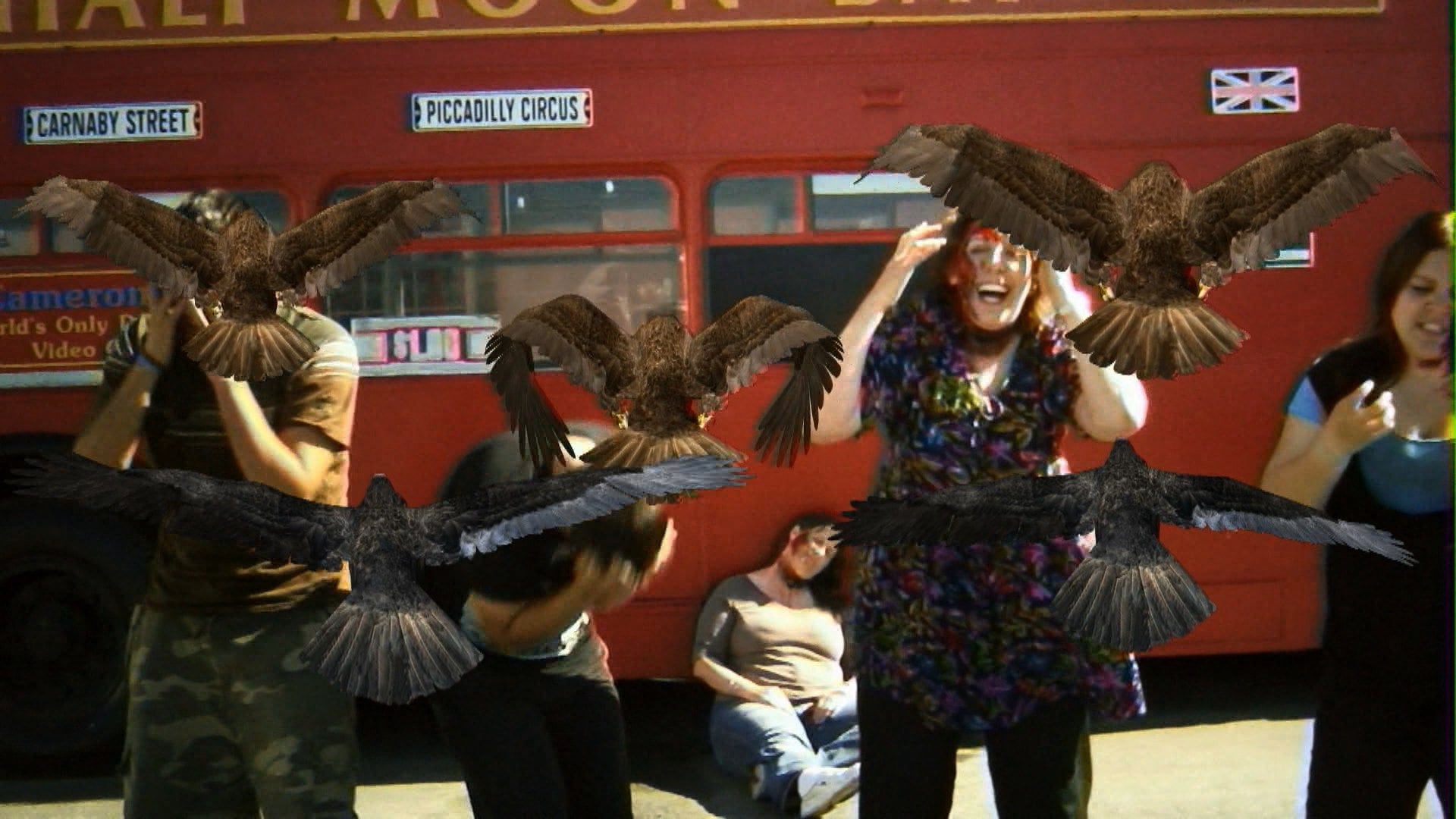 Foto do filme Birdemic: Choque e Terror