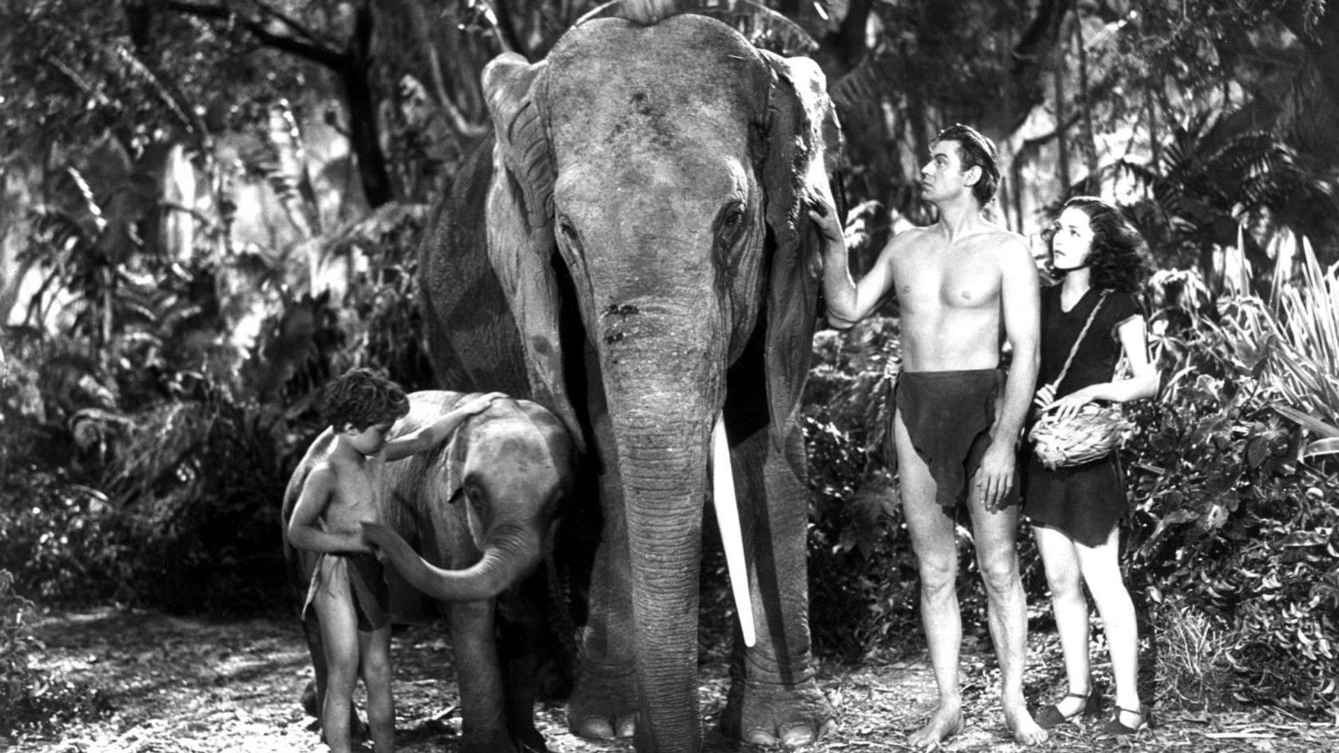 Foto do filme O Filho de Tarzan