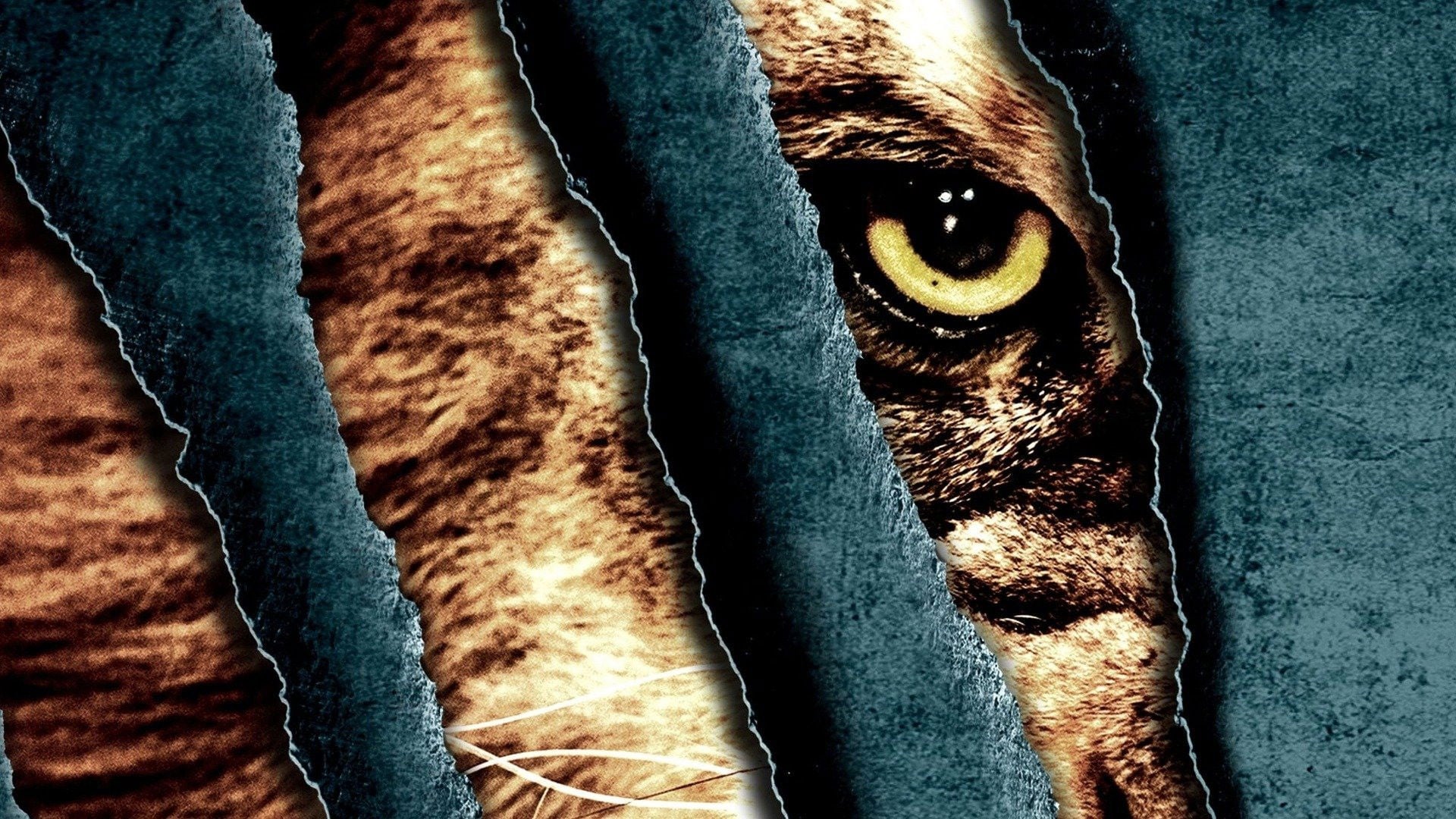 Foto do filme Fera Assassina