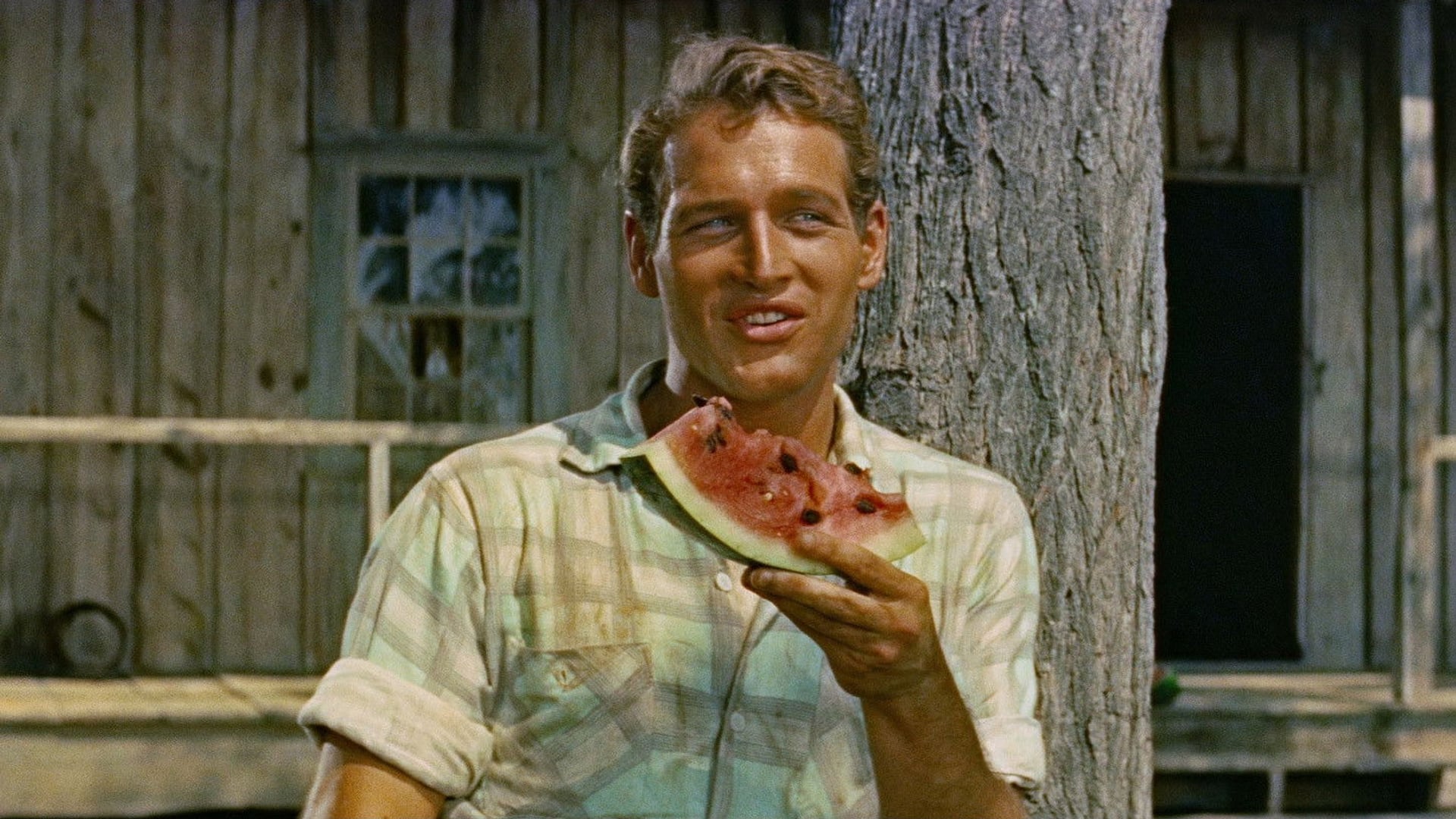 Foto do filme O Mercador de Almas