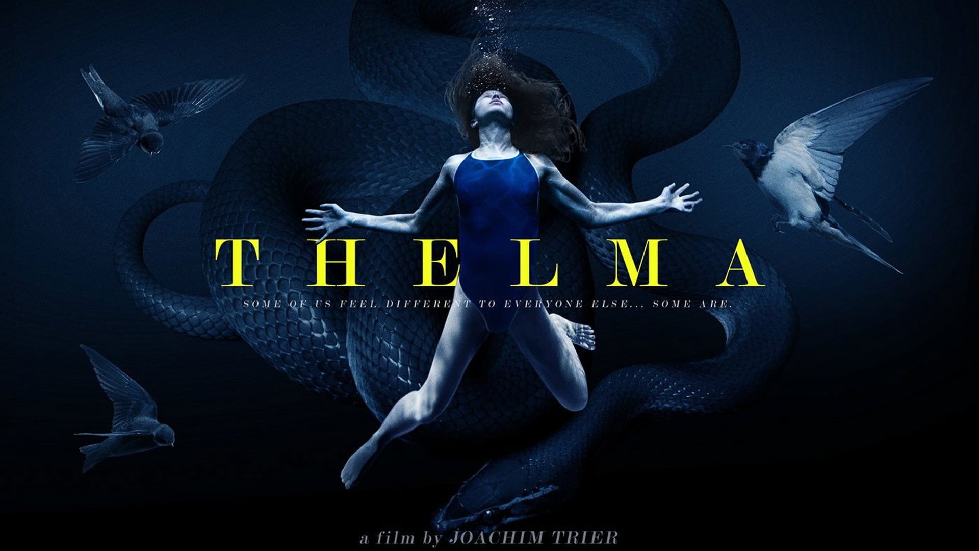 Foto do filme Thelma