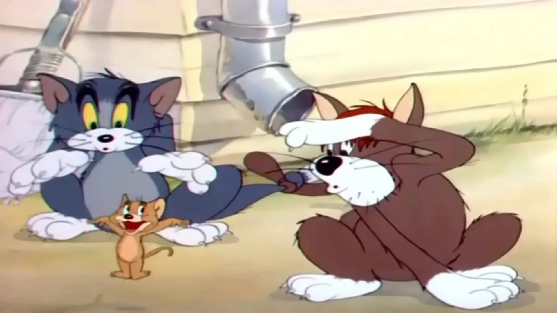 Foto do filme Gatos Sofredores